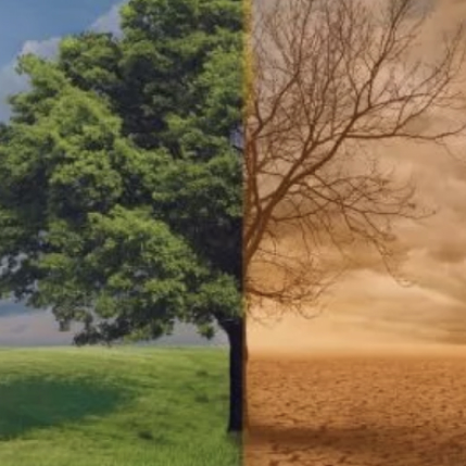 un cube axel ecoresponsabilite, sobriete energetique